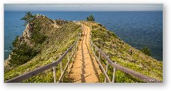 License: Path to Muir Beach Overlook