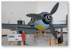 License: Focke Wulf Fw-190A-7 Wurger (Replica)