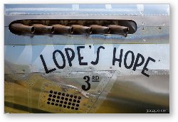 License: Lope's Hope 