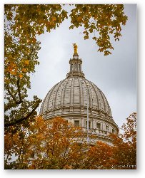 License: Madison Capital Dome in Autumn
