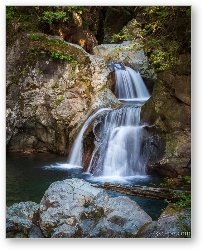 License: Twin Falls in Lynn Canyon Park