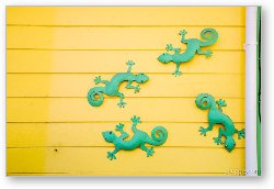 License: Green Geckos on Yellow Wall
