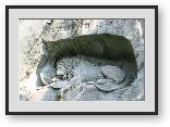 Buy Print of 'Dying Lion of Luzern' - Monument in natural rock