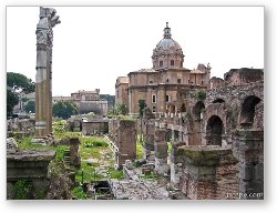 License: The Roman Forum