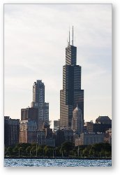 License: 311 S. Wacker Building and the Willis (Sears) Tower