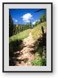 Buy Print of Burro Pass Trail