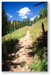 License: Burro Pass Trail