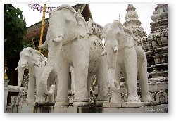 License: Elephants at Wat Saen Fang