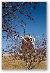 License: Dutch Windmill, De Immigrant - Fulton, IL