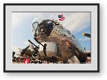 Buy Print of B-17 Flying Fortress