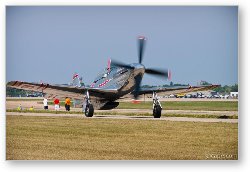 License: P-51D Mustang - 'Cloud Dancer'