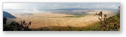 License: Ngorongoro Crater Wide Panoramic