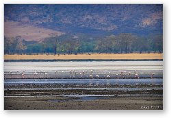 License: Lake Magadi is the most dominant water feature in the crater, though it was mostly dry