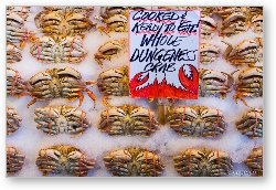 License: Cooked Dungeness Crab at Pike Place Fish Market