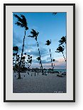 Buy Print of Palm trees on the beach at sunset