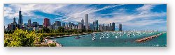 License: Chicago Skyline Daytime Panoramic