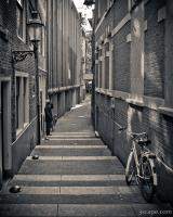 Amsterdam Alley Monochrome