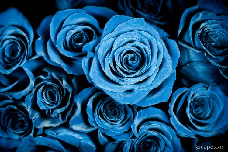 Moody Blue Rose Bouquet