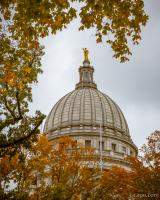 Madison Capital Dome in Autumn