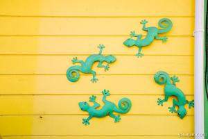 Green Geckos on Yellow Wall