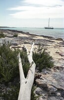 Rocky coral beach