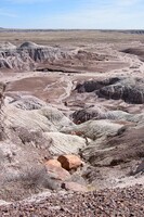 Painted Desert, petrified wood