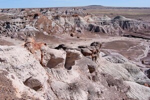 Painted Desert