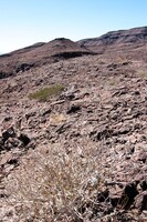 Harsh desert environment