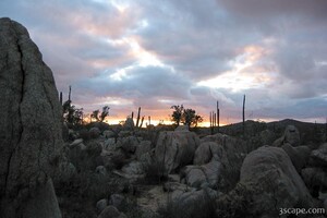 Sunset in the desert