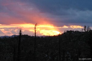 Sunset in the desert