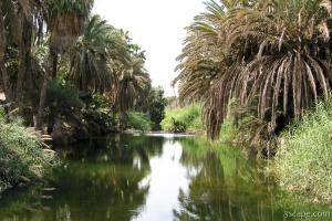 The river that feeds the Mulege oasis