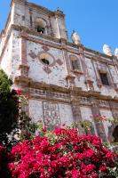 Previous: Mission de San Ignacio