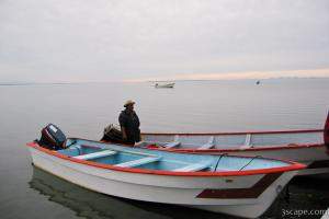 Going whale watching