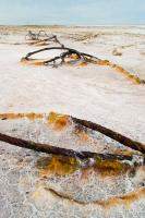 Rusting metal on the salt flats (photo courtesy Falke)