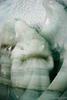 Ice sculptures