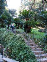 Estate in Santa Margarita
