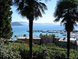 The Mediterranean