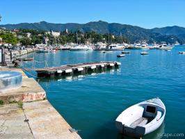 The marina