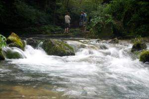 Greer Spring