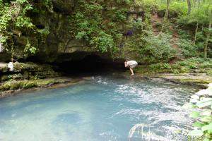 Greer Spring