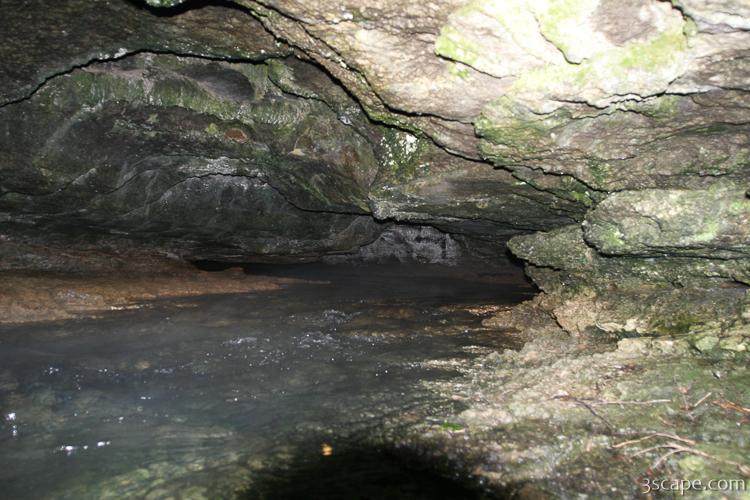 Greer Spring's outlet