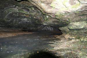 Greer Spring's outlet