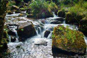 Stream from Greer Spring