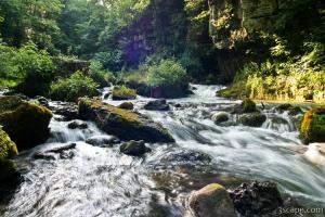 Stream