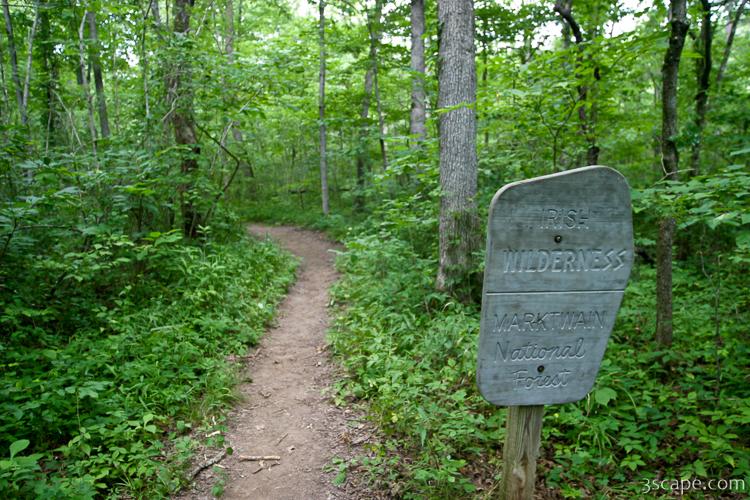 Trail to the cave at Whites Creek