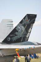 F-18 Hornet tail design (Canadian)