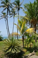 Dieppe Bay, St. Kitts