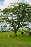 Relaxation at Ottley's Plantation Inn