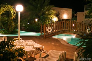 The Rex Papillon at night