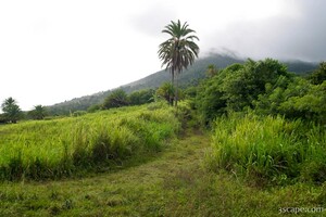 Mt. Liamuiga, 3792ft. (dormant volcano)